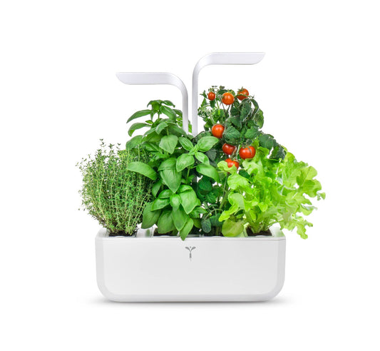 Véritable® Classic (White) - Indoor Vegetable Garden Made in France - Smart Autonomous Garden Delivered with 4 Ingots®.