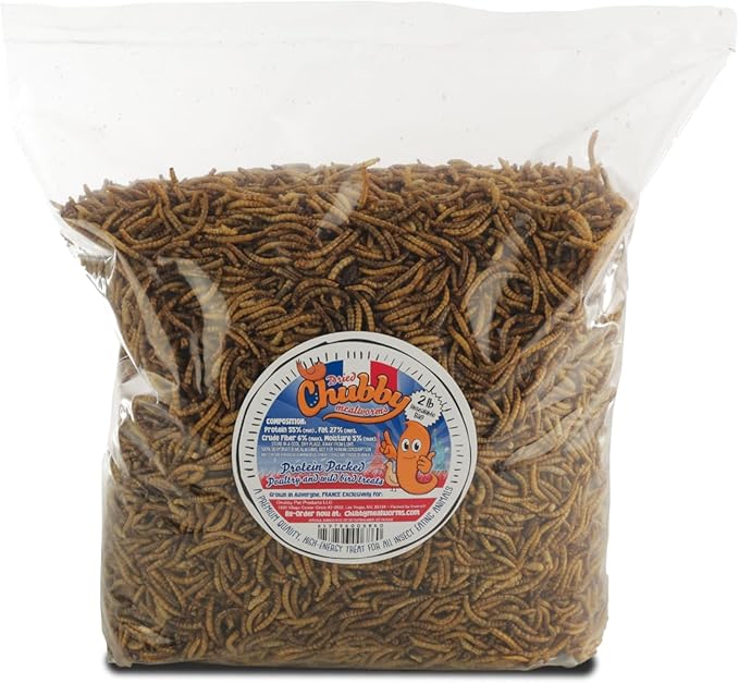 Chubby Dried Mealworms 8 Lbs - Grown in The EU - Non-GMO Mealworms for Chicken & Birds - Chicken Feed Treats for Laying Hens (8 Lb)
