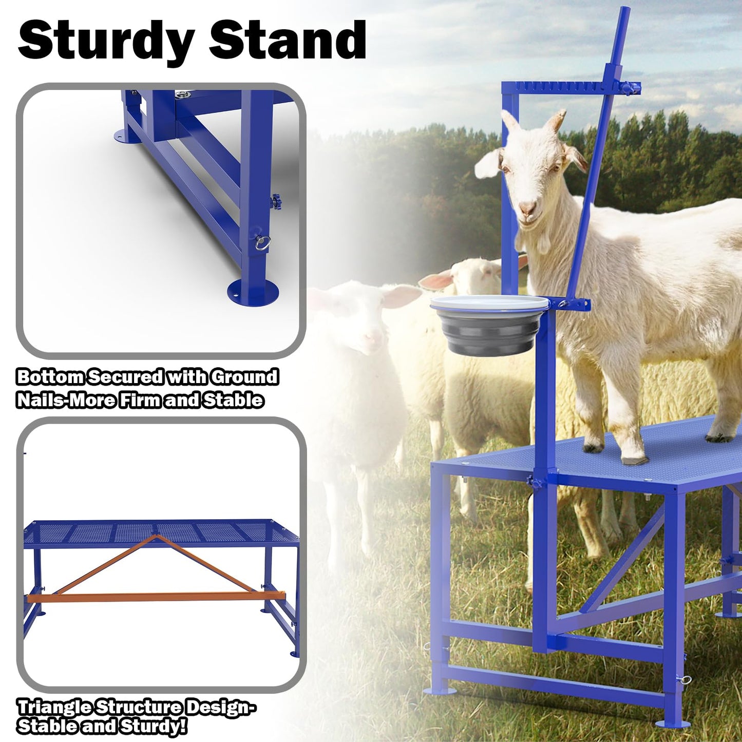 Larrik Goat Milking Stand with Feeder, Goat Stand for Trimming Hooves, with Adjustable Head Piece and Legs, Metal Blue Use for Livestock，400 Lbs for Small Sheep and Goat
