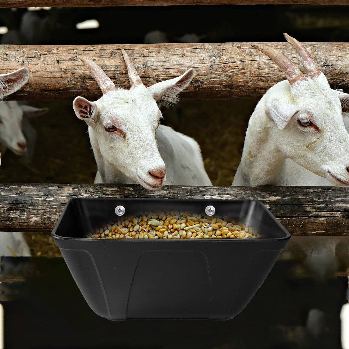 ATKSKYO Hanging Fence Feeder for Chicken, Duck, Goat, Pig Poultry Feed Trough Chicken Feeder Bucket Feeding Container for Livestock (Black)