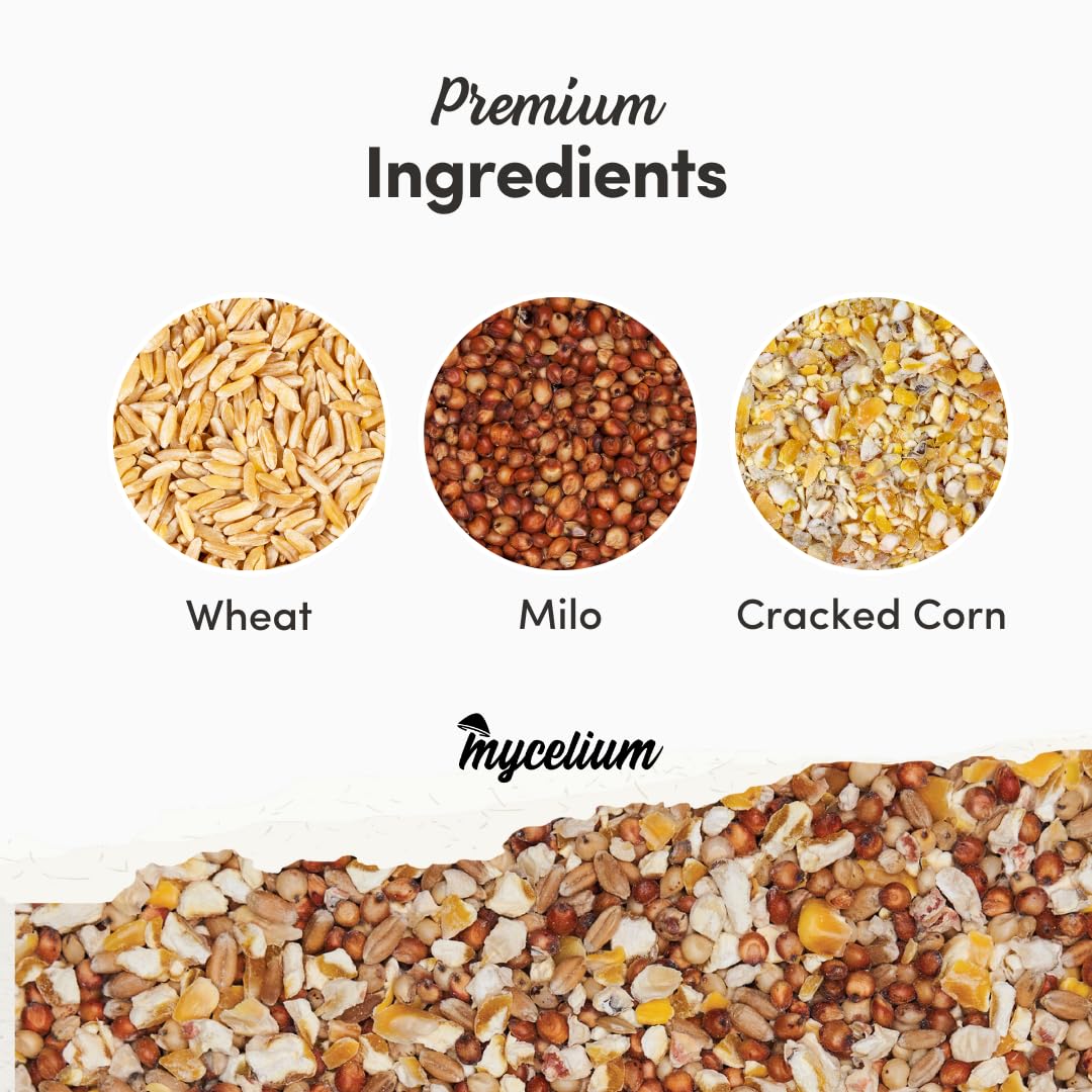 Mycelium Premium Poultry Scratch | Bird Food for Chickens, Quails & Game Birds | Organic, Non-GMO Seed Treat with Corn, Wheat & Milo | Supports Natural Foraging & Digestion | Made in USA, 5 lb Bag
