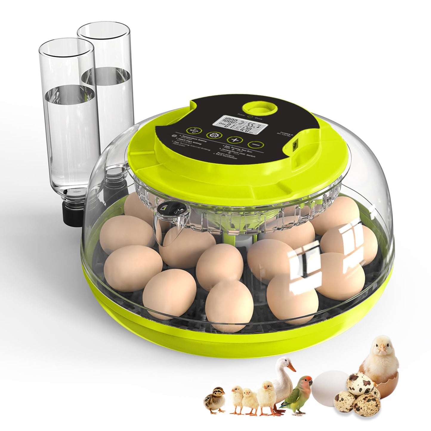 Incubator for Hatching Eggs, 18 Eggs Capacity, Incubators with Egg Candler, Automatic Egg Turner, Temperature & Humidity Control, Full Viewing for Chicken, Duck, Quail, Goose, Parrot, Pigeon