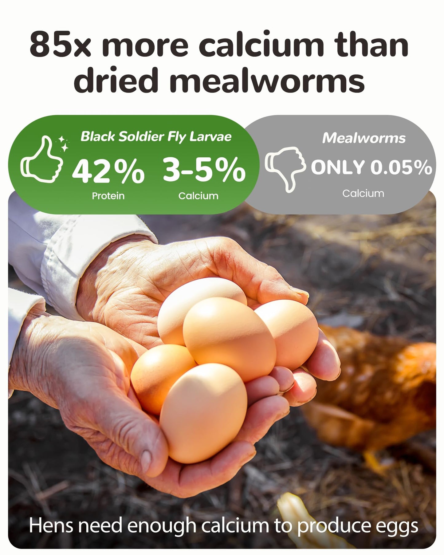 5LB Dried Worms Black Soldier Fly Larvae for Chickens Birds, High Protein 85x Calcium Than Mealworms 100% Natural Non-GMO, Tasty Treats Worms Grubs for Chickens Ducks Laying Hens