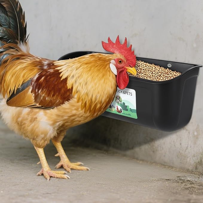 4 Pack Hanging Chicken Feeder,Fence Feeder Trough and Waterer for Goat Sheep Deer Duck Poultry Livestock,Feeding Waterer Container Bucket with Clips and Brush (Black)