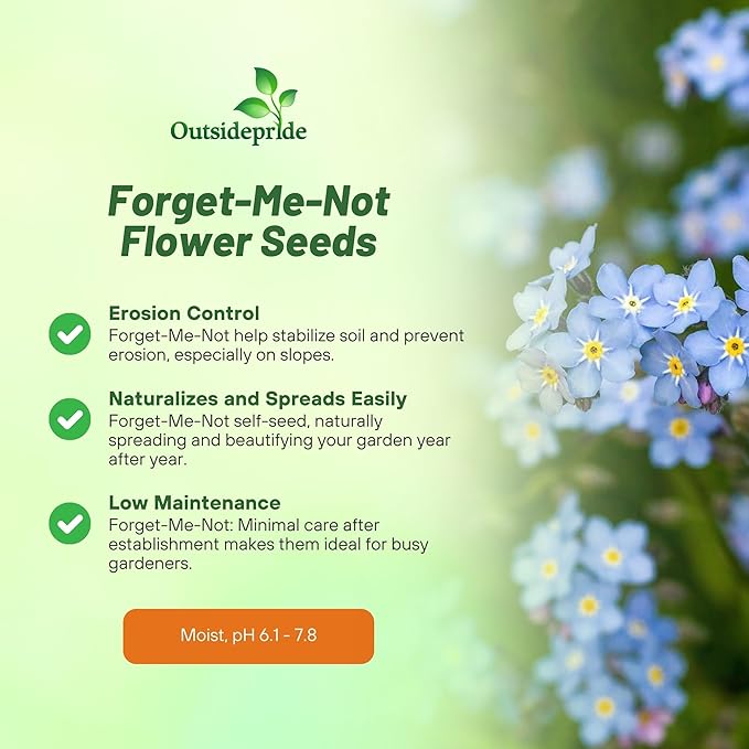Outsidepride Blue Forget Me Not Seeds - 10000 Pcs Low Growing, Self-Sowing Perennial Flower Seeds for Planting Dense Blue Blooms & Upright Growth Habit for Meadows, Pollinator & Cottage Gardens