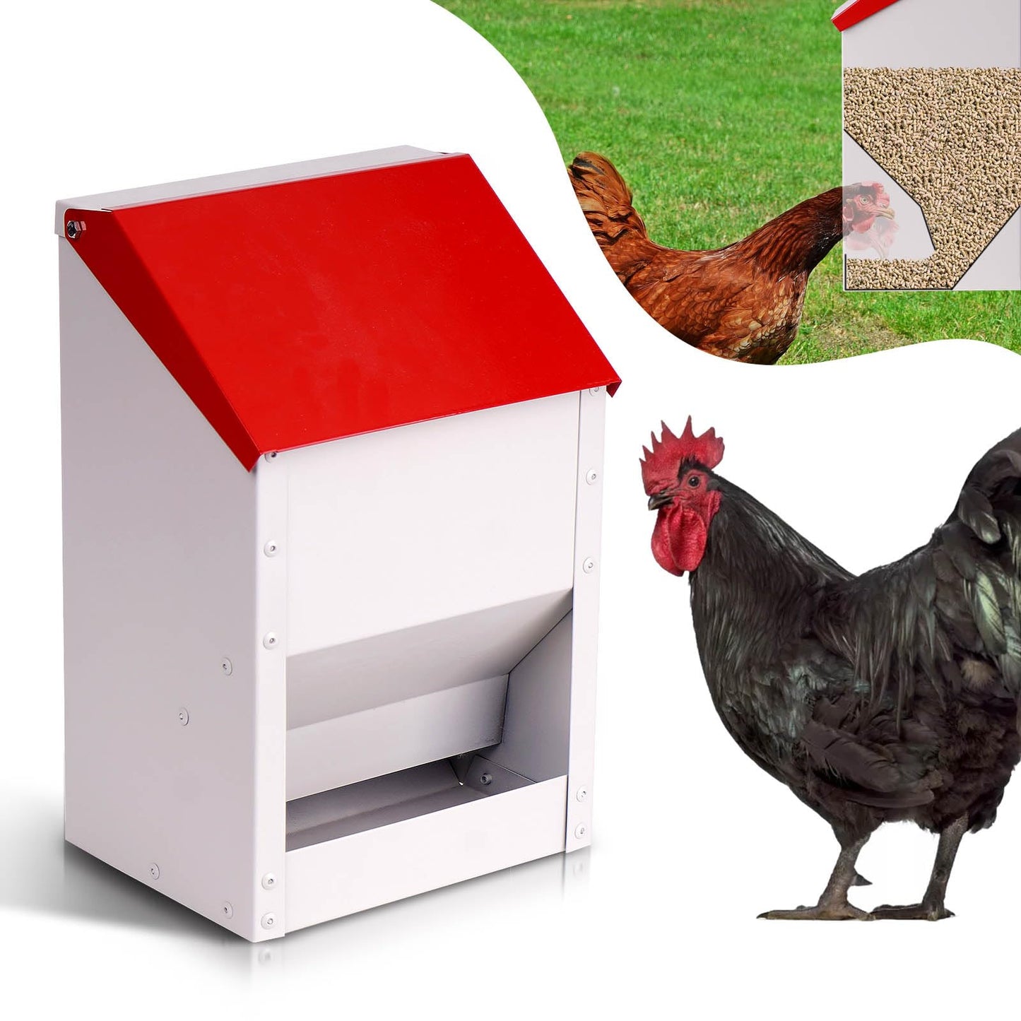 ZHEQOGZH Automatic Metal Chicken Feeder Galvanized Poultry Feeder with Lid Outdoor Wall Mount Chicken Food Dispenser Gravity Fed Chicken Feeder Weatherproof No Waste Quail Duck Feeder (10LBS)