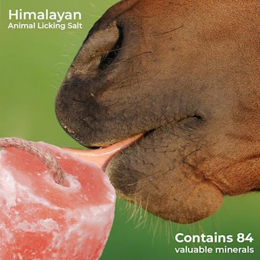 ZK Himalayan Salt Lick for Horses, Livestock– (3-4 lbs) Natural Mineral Salt Block for Goats, Cattle & Deer with Hanging Rope, Weather-Resistant and Great for Dear Hunting (Pack of 1)