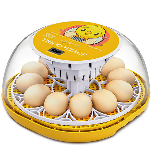 TRIOCOTTAGE 12 Clear Egg Hatching Incubator with Automatic Egg Turning and Auto Water Replenishment for Chicken Eggs and Quail Egg (Eco-Friendly Packaging)
