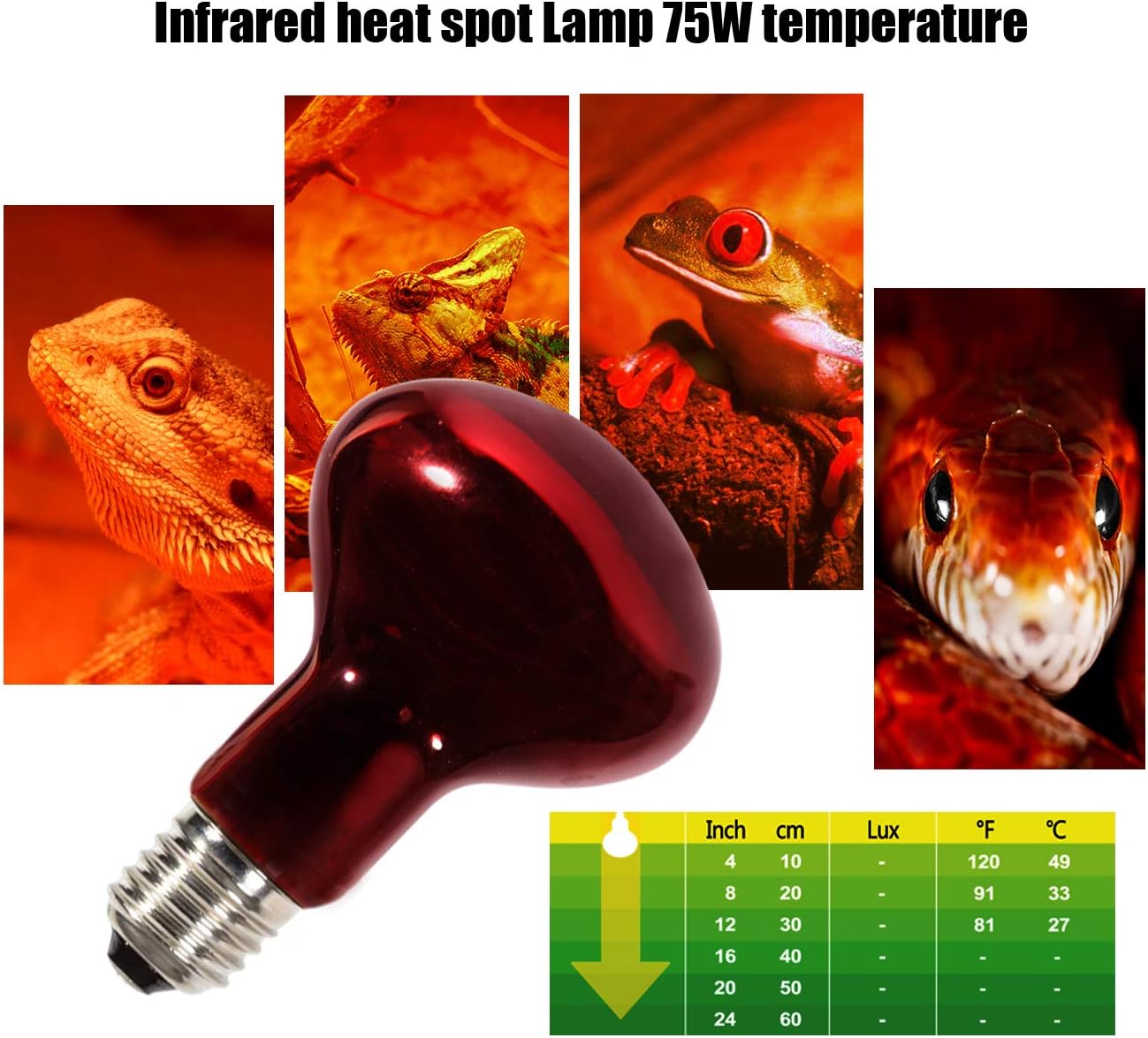 MCLANZOO Infrared Heat Lamp Bulbs 75W 2 Pack,Red Basking Spot Light Bulb Reptile Heating lamp for Bearded Dragon,Turtle,Snake,Leopard Gecko,Chicked with Digital Temperature Thermometer