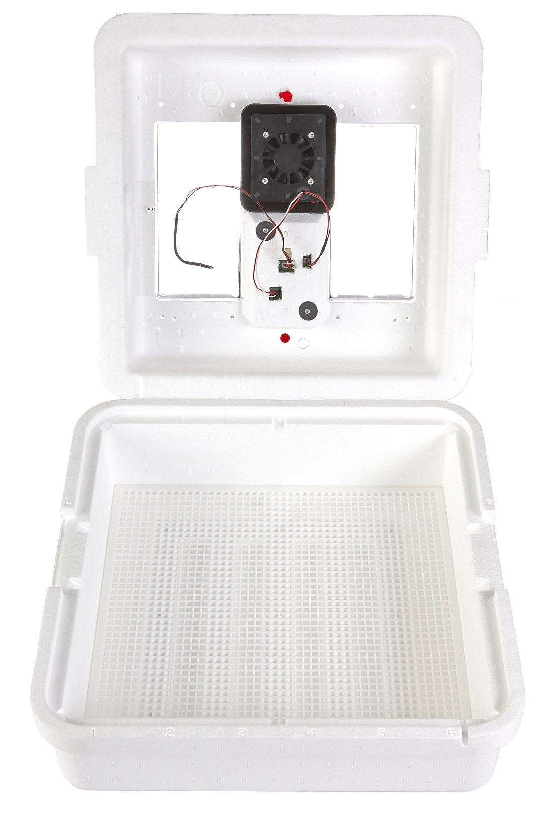 Little Giant® Digital Circulated Air Incubator | 41 Eggs | Egg Incubator with Fan, Temperature and Humidity Control | Hatching Eggs