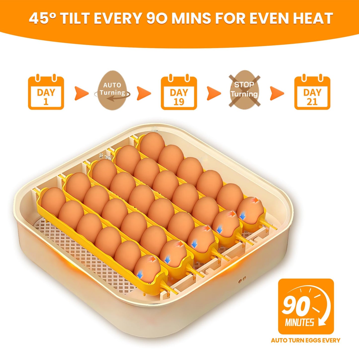 Brivouen 30 Egg Incubator with Humidity Display, Egg Candler, Automatic Egg Turner, for Hatching Chickens