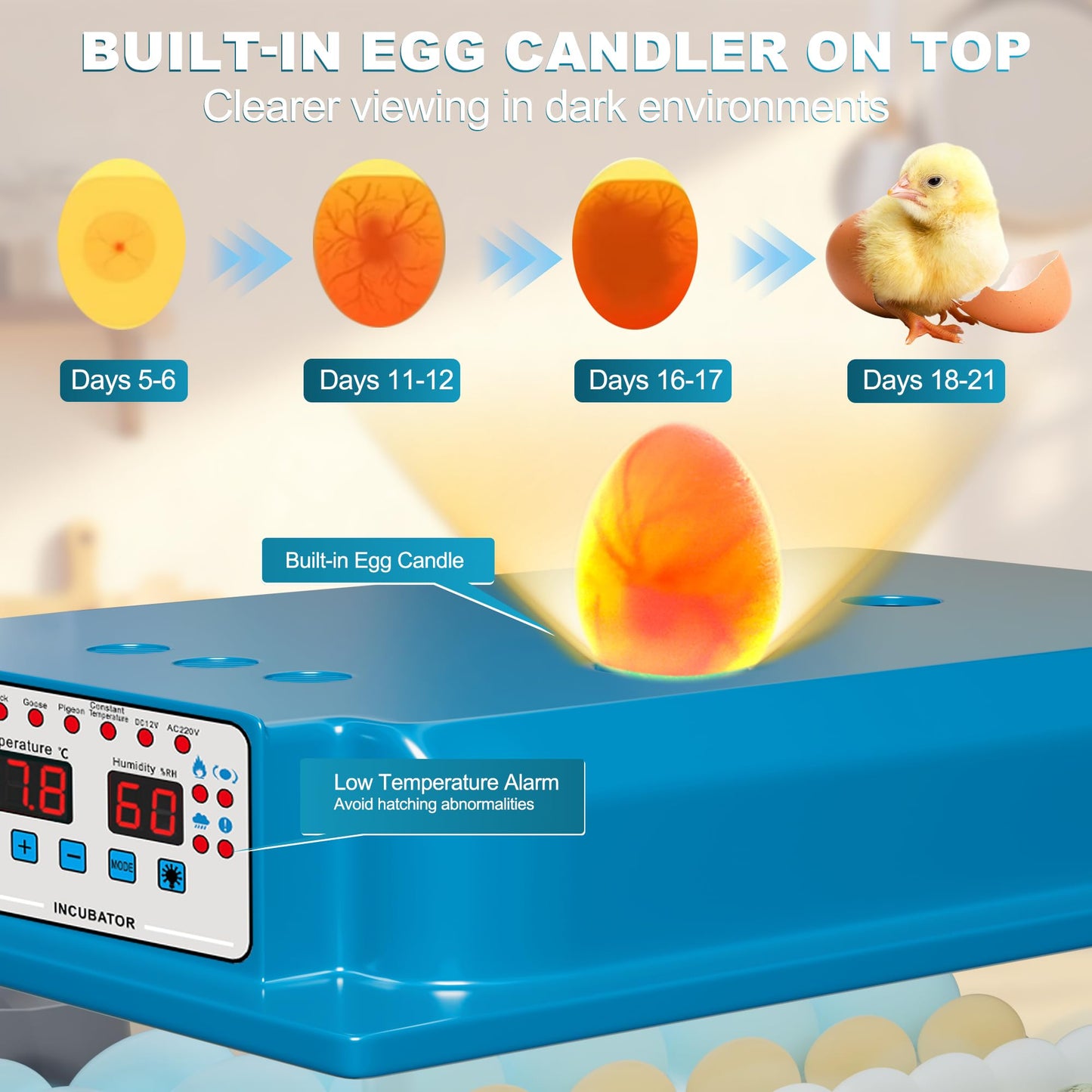 Loyfoly Incubators for Hatching Eggs, 36 Egg Incubator with Automatic Egg Turning and Humidity Control, Chicken, Duck, Goose, Bird, Quail, Incubator for Farm, Lab, Home（Blue）