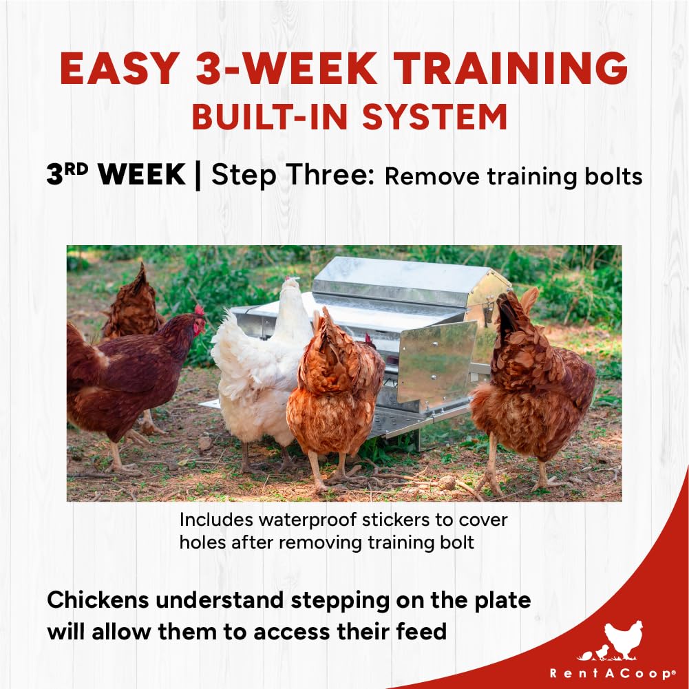 RentACoop Automatic Metal Treadle Feeder - Outdoor Use, Rainproof - Suitable for Chicken, Bantams, Poultry, Pheasants, etc. - 25lb Capacity