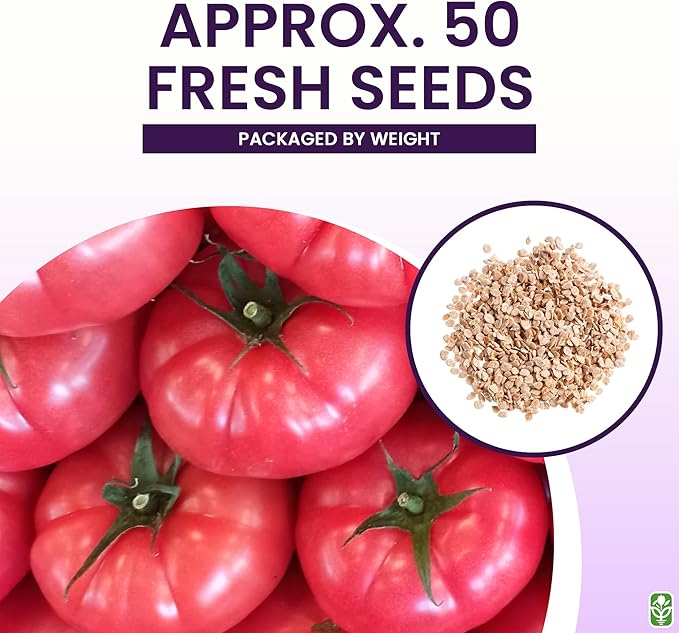 Pink Brandywine Tomato Seeds for Planting – Heirloom, Large & Juicy – One of The Most Delicious Tomatoes for Home Growing – Vegetable Seeds for Planting - Grown in The USA
