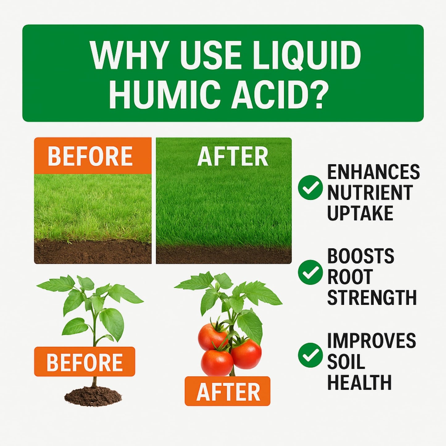 Humic Acid - Organic Liquid Humic Concentrate with Fulvic Acid - (5 Gallon Drum) - Multi-Purpose Soil Conditioner - Suitable for Gardens, Lawns, Houseplants & Trees