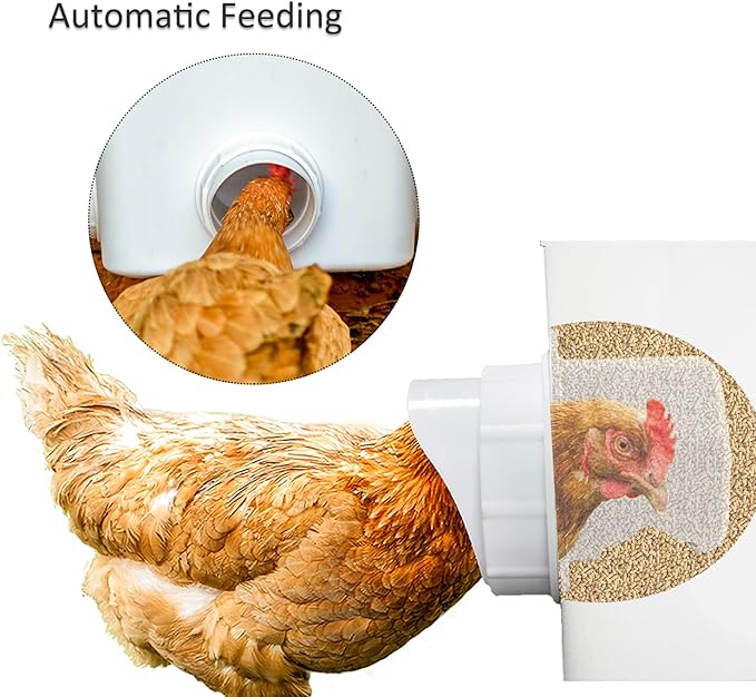 Automatic Chicken Feeder Chicken Feed Container Hanging Chicken Feeder Rainproof Poultry Feeder Bucket (Frosted)