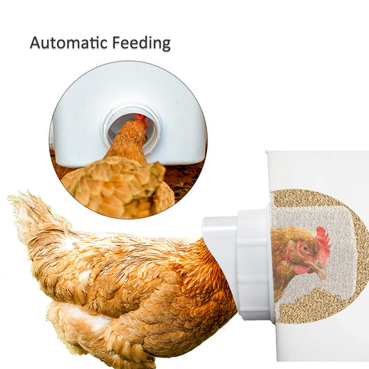 Automatic Chicken Feeder Chicken Feed Container Hanging Chicken Feeder Rainproof Poultry Feeder Bucket (Frosted)