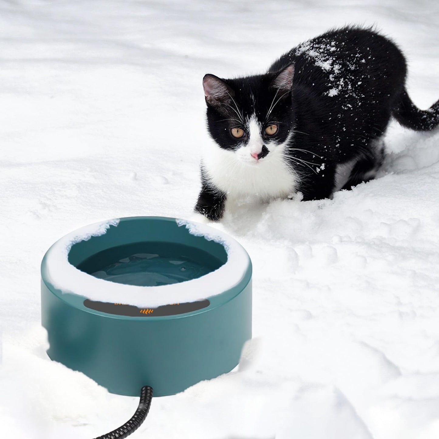 Namsan Heated Water Bowl for Cats Outdoor, 2.2L, Heated Pet Bowls for Chickens Rabbits Farm Animals, Heating Dog Bowl Ice Free in Winter, Thermal-Bowls Warm Water Bird Bath Dish, Green