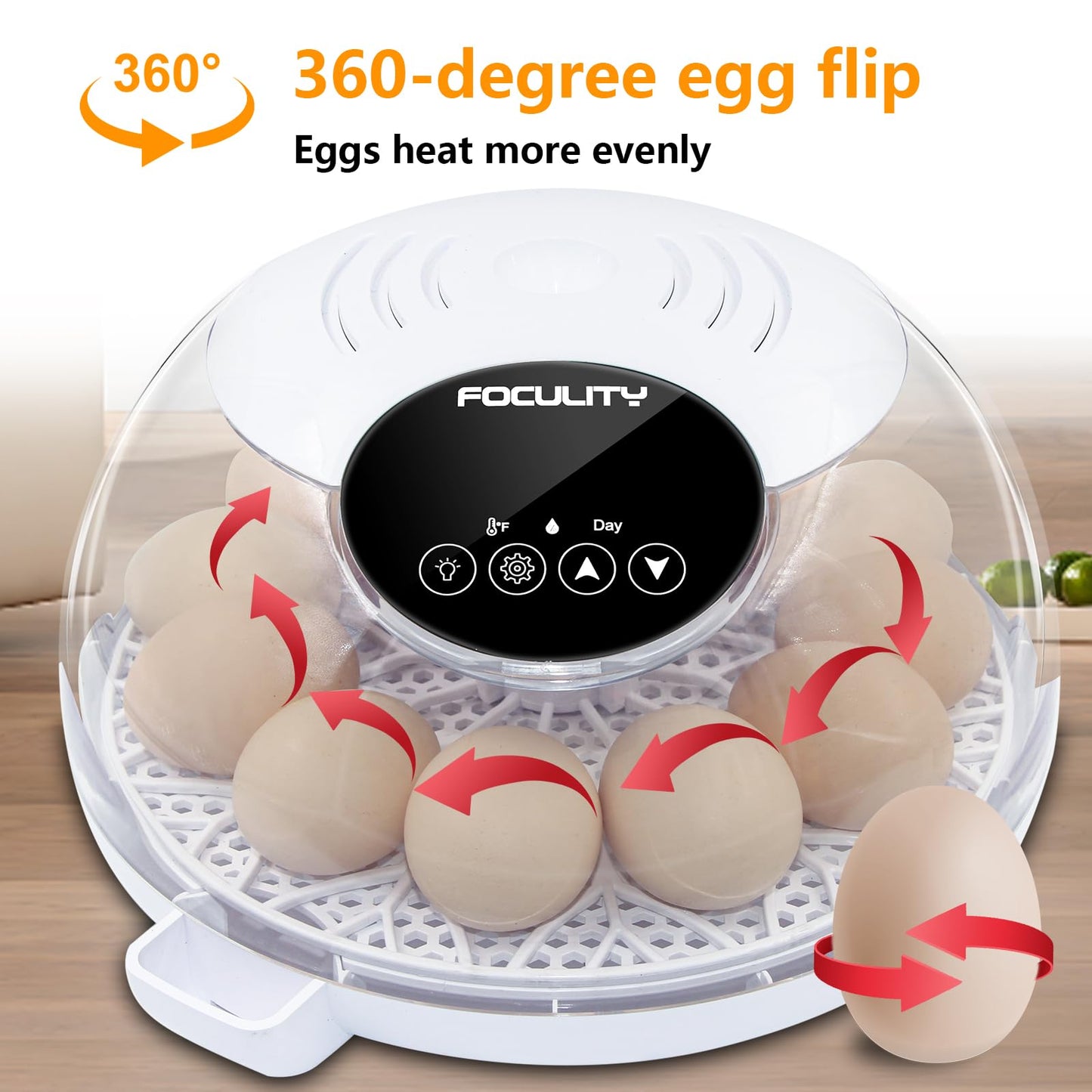 FOCULITY Egg Incubators for Hatching Eggs with Smart Automatic Turning Small Poultry Duck Quail 12 Eggs Chicken Incubator Temperature Days Control Humidity Display Candler Hatcher Machine, Fahrenheit
