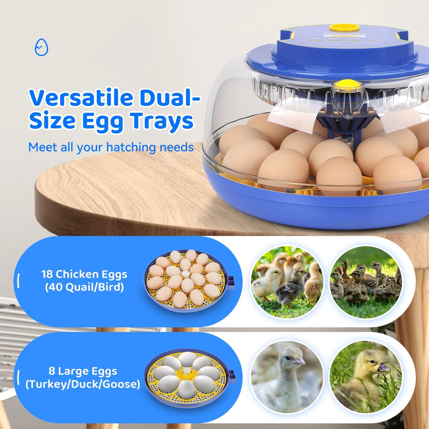 18 Egg Incubator with Automatic Egg Turning and Humidity Control, Incubators for Hatching Eggs, Chicken, Ducks, Goose, Pigeon, Quail, Parrot Incubator for Farm, Lab, Science Classroom, Home