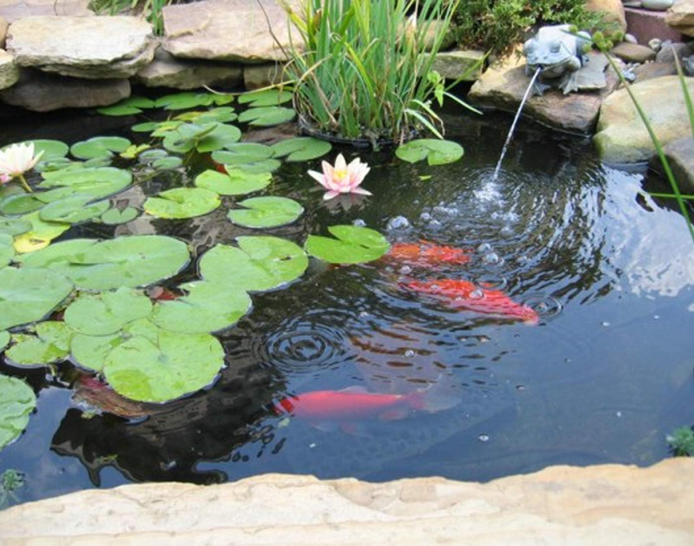 UWIOFF Pond Liner, 20 Mil 7 x 10 Feet Pond Liners for Outdoor Ponds, Black HDPE Fish Pond Liner for Koi Ponds, Streams Fountains and Garden Waterfall