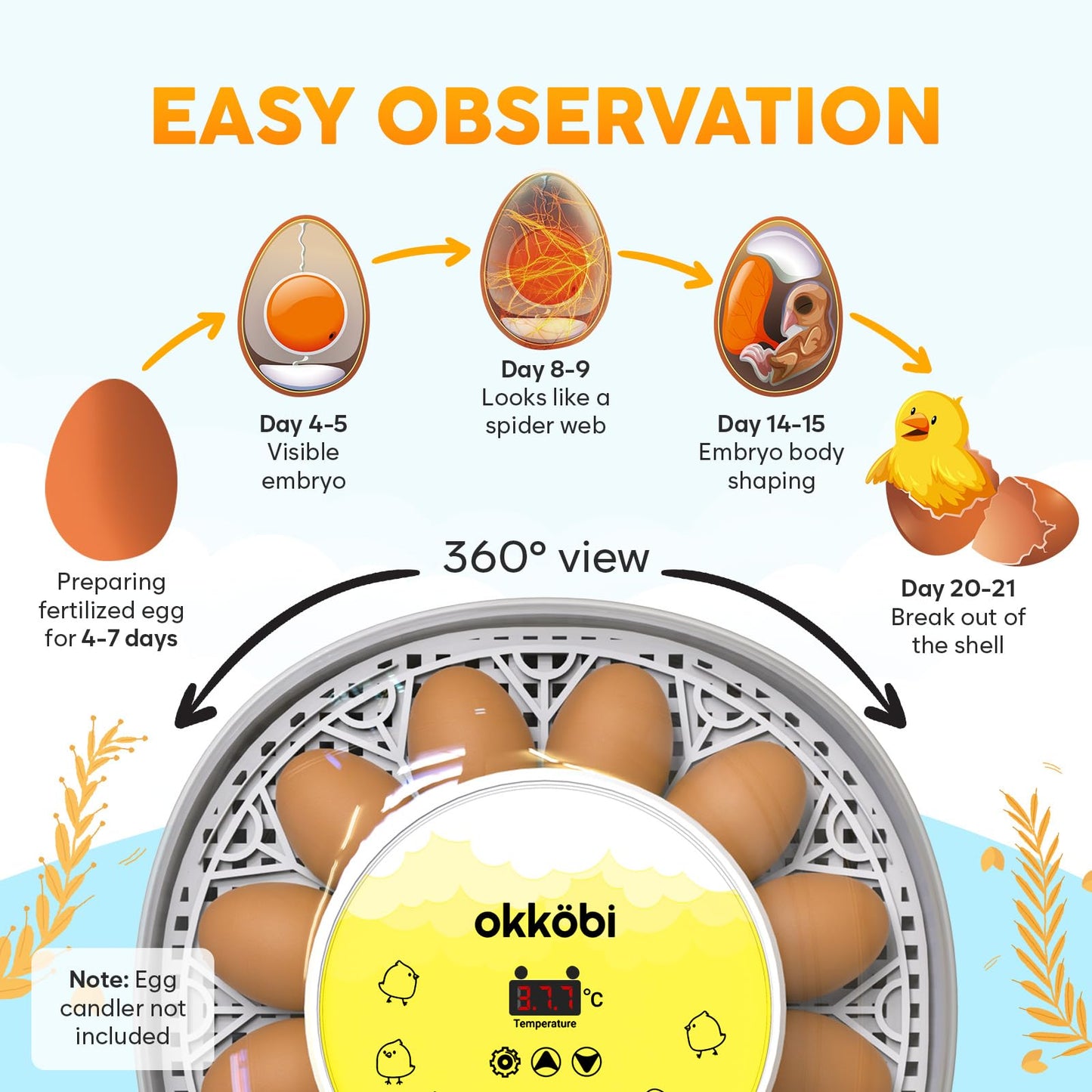 Okkobi M12 Egg Incubator with Automatic Turner and Humidity Control - 12/24 Eggs, 360° View, Easy to Use and Clean - Incubadora de Huevos de Gallina - Incubators for Hatching - White & Yellow