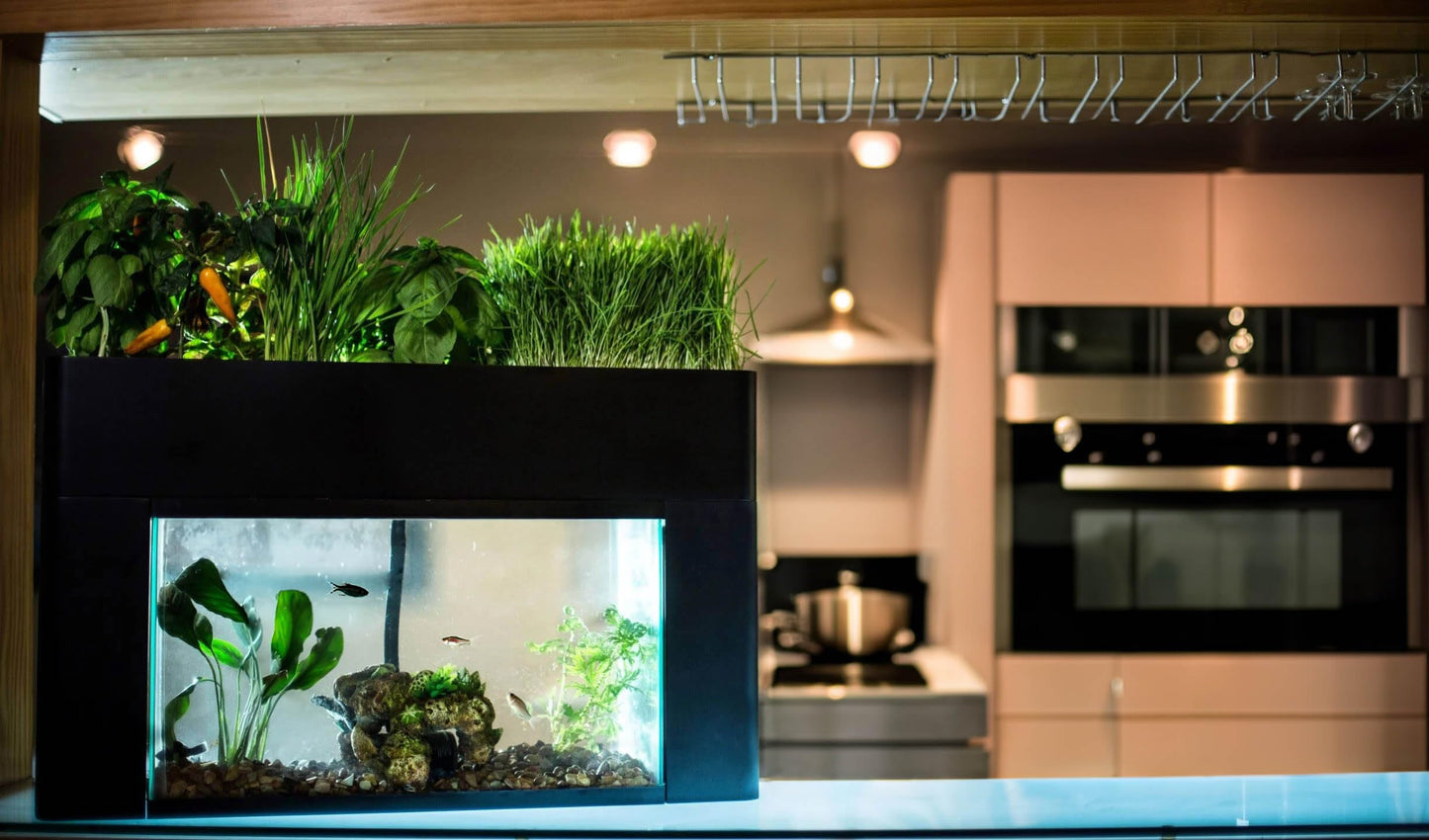 AquaSprouts Aquaponics Garden, Self-Sustaining Desktop Aquarium Hydroponics Ecosystem Kit, fits Standard 10 Gallon Aquariums