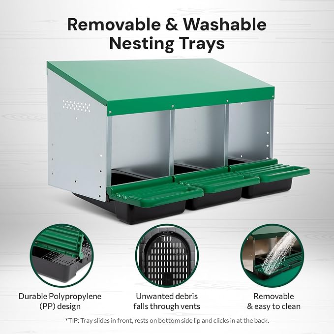 Classic Style 3 Compartment, Forward Rollout & Rollaway, Hen & Chicken Nesting Box with Integrated Perch and Protective Egg Laying Collection Lids