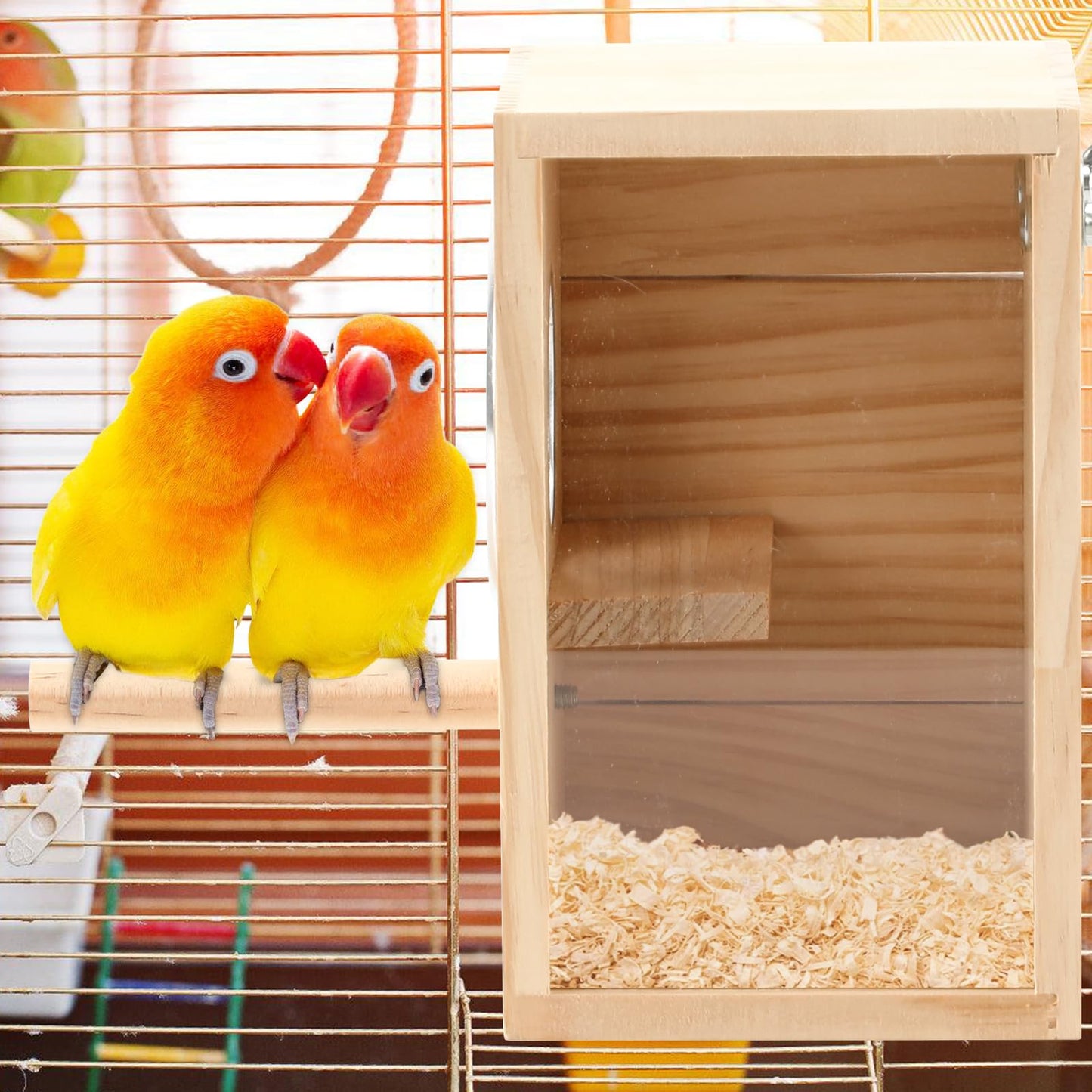 Rypet Transparent Bird Nest Boxes, Wood Parakeet Nesting Box for Cage, Upright Bird Nest Breeding Box with Perch Bird Cage House for Parakeet Lovebirds Budgie Finch Parrotlets Canary L