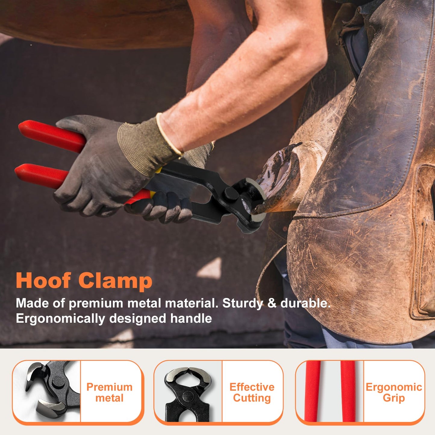 8 inch Farrier Tools Kit (8 Piece) Horse Goat Hoof Trimmers Carbon Steel Nippers Shears Nail Clipper, Mini Rasp, Hoof Trimming Cutter Knife, File for Pig Sheep Donkey Equine Supplies with Storage Bag