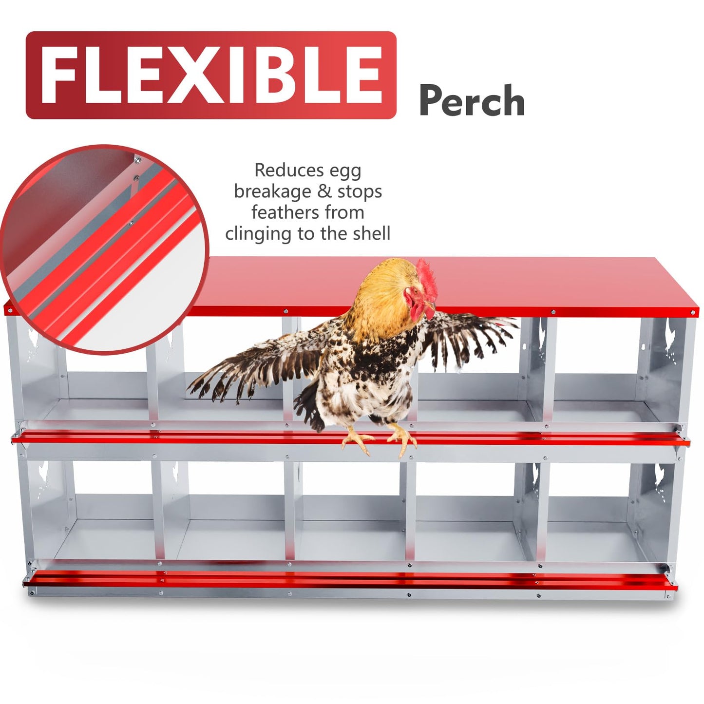 Chicken Nesting Boxes - 10 Compartment Metal Poultry Nest Box Wall Mount for Chickens, Hens, Ducks - Easy Egg Collection - Large Vented Holes Chicken Coop Equipment (10 Compartment)