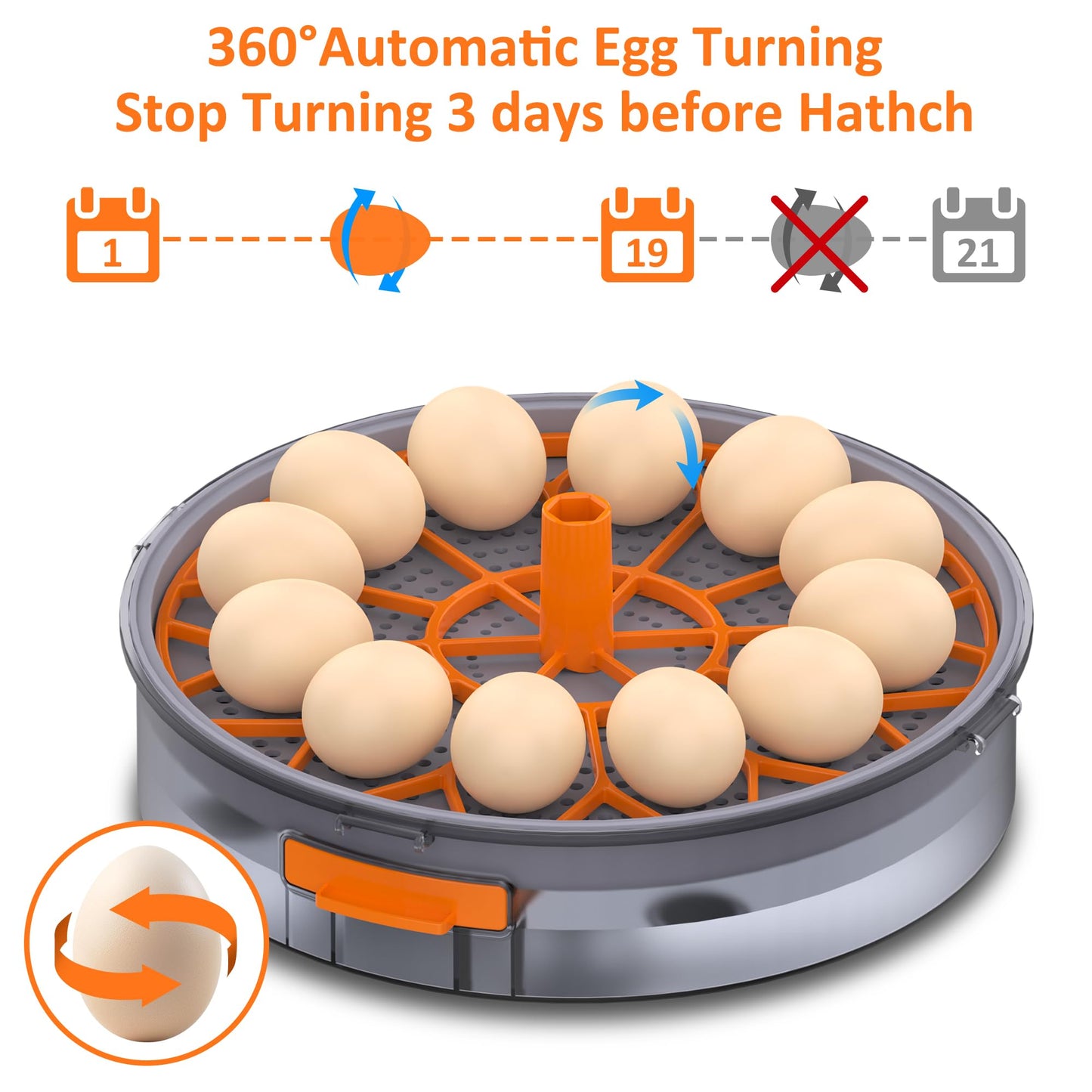 Egg Incubator with Automatic Egg Turning and Humidity Control, Intelligent Egg Incubator with Automatic Temp. Adjustment, 12 Egg Incubator
