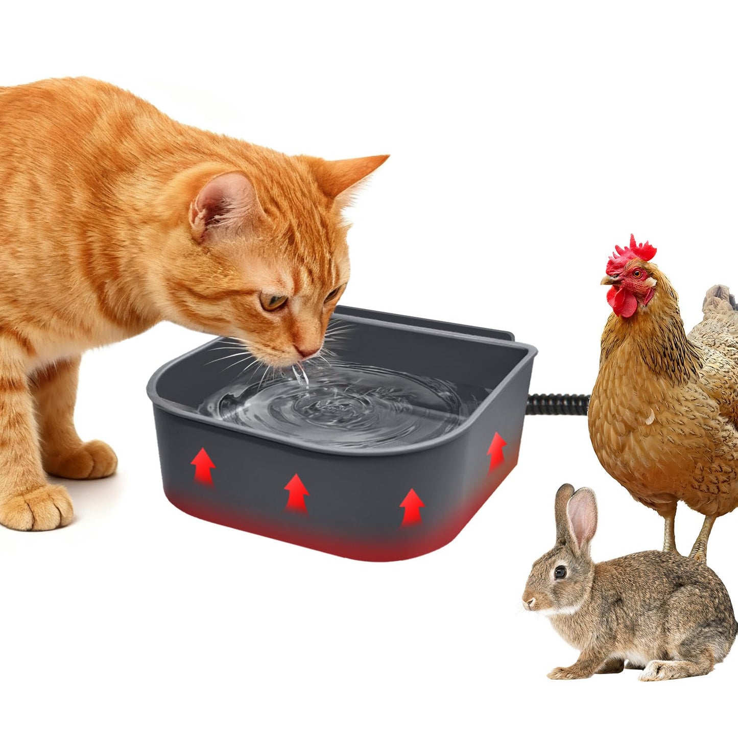 Billionchains Dog Heated Water Bowl for Crate Cage No Freeze Water Bowl for Outdoor 0.27 Gallon Hanging Heated Water Dish for Dogs/Cats/Chickens/Birds/Rabbits, Grey