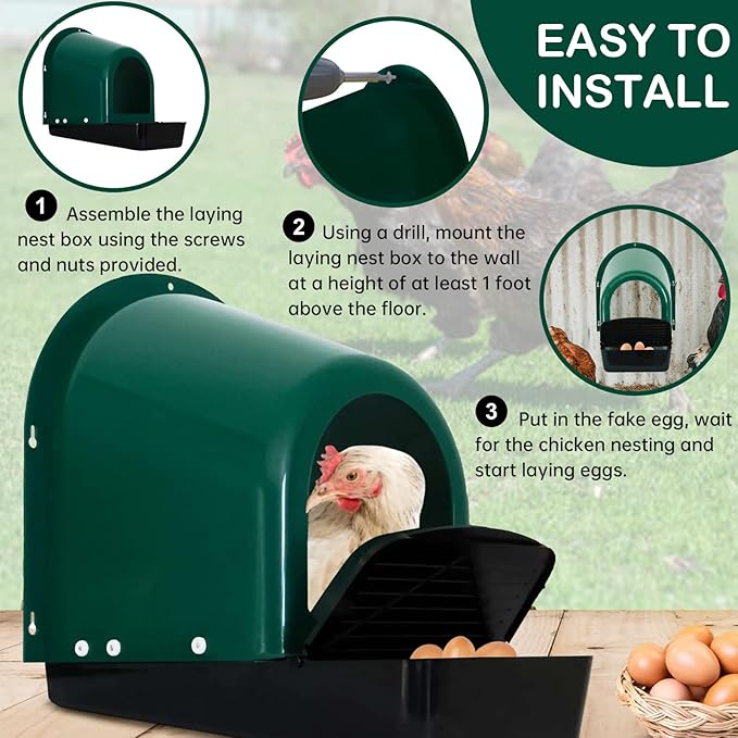 Chicken Nesting Boxes 5-Pack - with Roll-Out Egg Collection Trays - Plastic Chicken Laying Box with Perch - Wall-Mountable, Easy Assembly & Cleaning (Green)