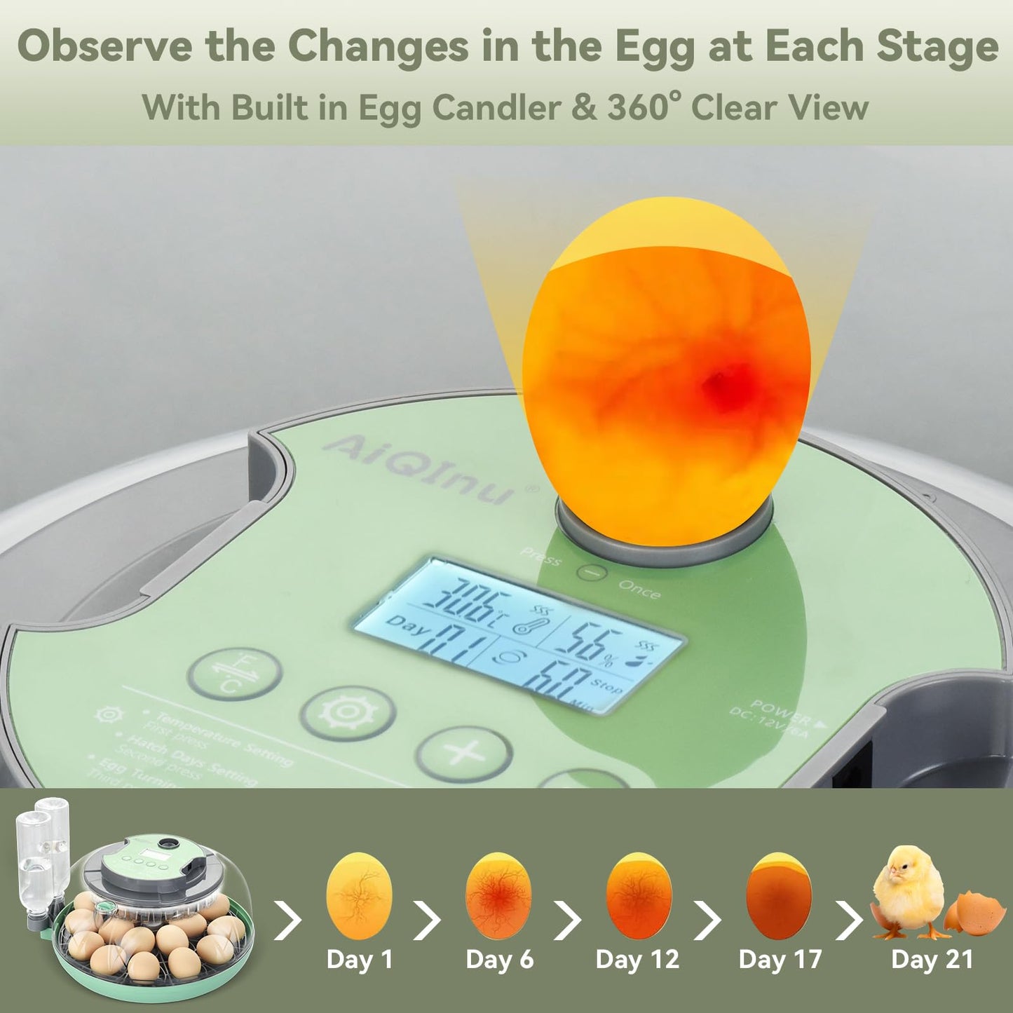 18 Egg Incubator with Automatic Egg Turning and Humidity Control - Egg Incubator for Hatching Eggs Chicken Duck Goose Quail Turkey Parrot, Fit for Farm, Lab, Science Classroom, Home（Green）