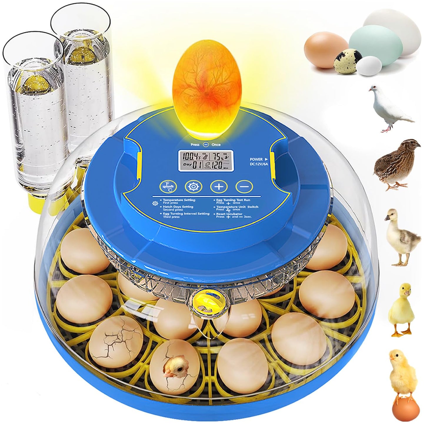 18 Egg Incubators for Hatching Eggs, Chicken Egg Incubator with Automatic Egg Turning & Humidity Control, 360° Viewing, Egg Candler, for Home, Farm, Classroom, Hatching Duck, Quail, Turkey, Goose