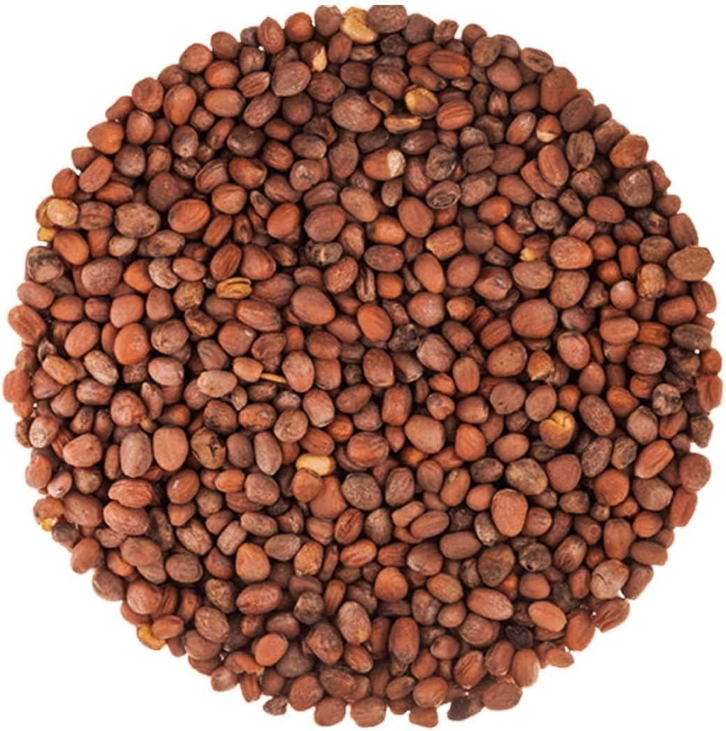 Food to Live Organic Radish Seeds for Sprouting, 10 Pounds - Non-GMO, Edible Seeds, Vegan, Kosher, Bulk. Spicy Flavor. Rich in Vitamin C. High Germitation Rate. Grow Sprouts, Microgreens for Rolls.