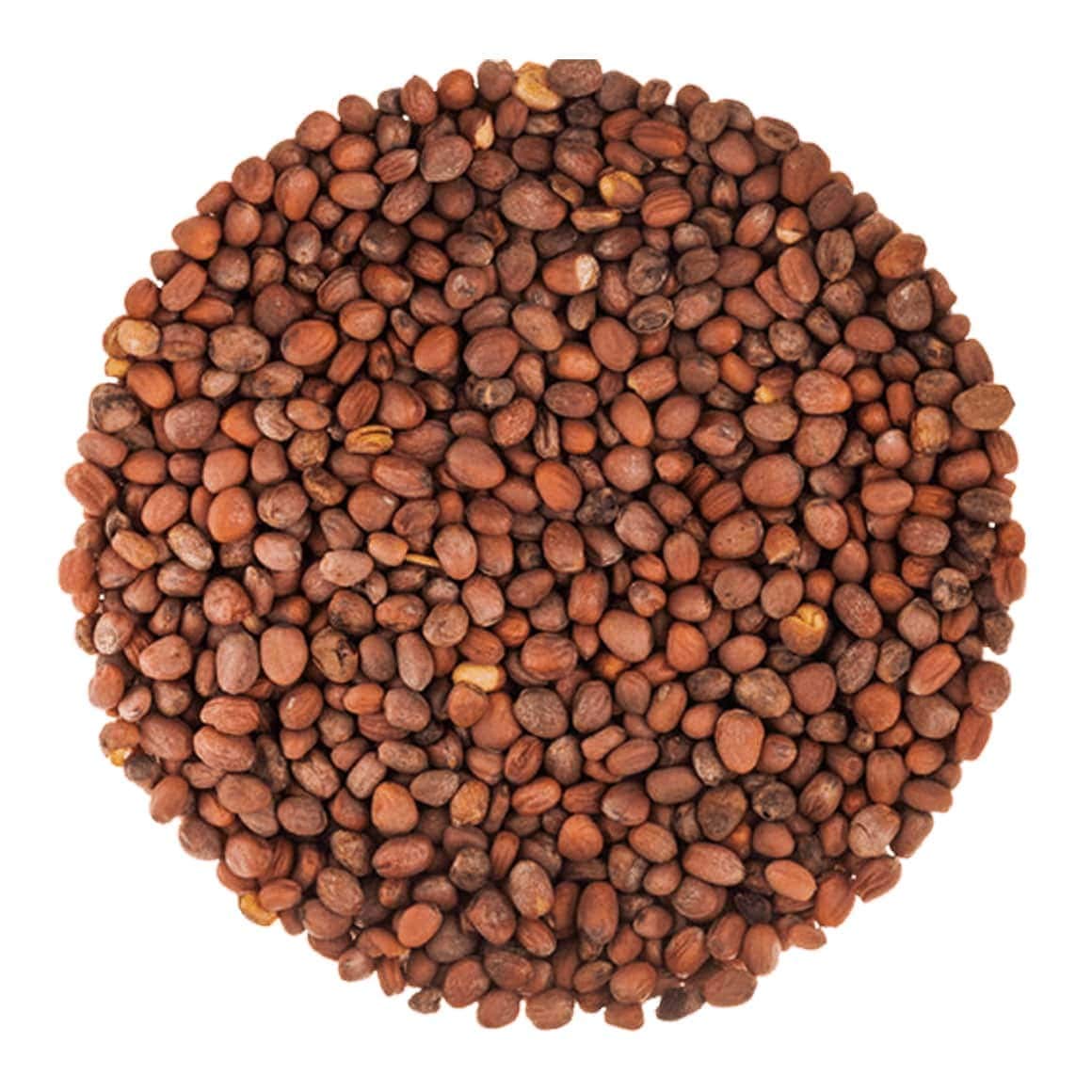 Food to Live Organic Radish Seeds for Sprouting, 10 Pounds - Non-GMO, Edible Seeds, Vegan, Kosher, Bulk. Spicy Flavor. Rich in Vitamin C. High Germitation Rate. Grow Sprouts, Microgreens for Rolls.