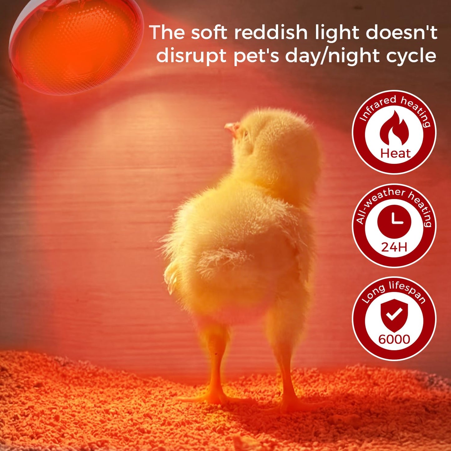MISDOOD Infrared Heat Lamp for Chickens, 150 Watts Red Heat Lamp Bulb, Heat Light Bulb for Brooder Coop, Food Service, Chicks, Pet, Reptile, 1 Pack