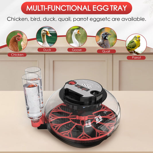 Incubators for Hatching Eggs Automatic Egg Incubator with Temperature Control Humidity Display 12 Egg Capacity for Chicken Duck Goose Eggs Digital Display Auto Turner 360° View