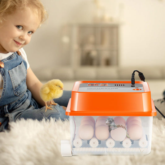 VEVOR 12 Egg Incubator, Incubators for Hatching Eggs, 360° Automatic Egg Turner with Temperature and Humidity Display, 12 Eggs Poultry Hatcher with ABS Transparent Shell for Chicken, Duck, Quail