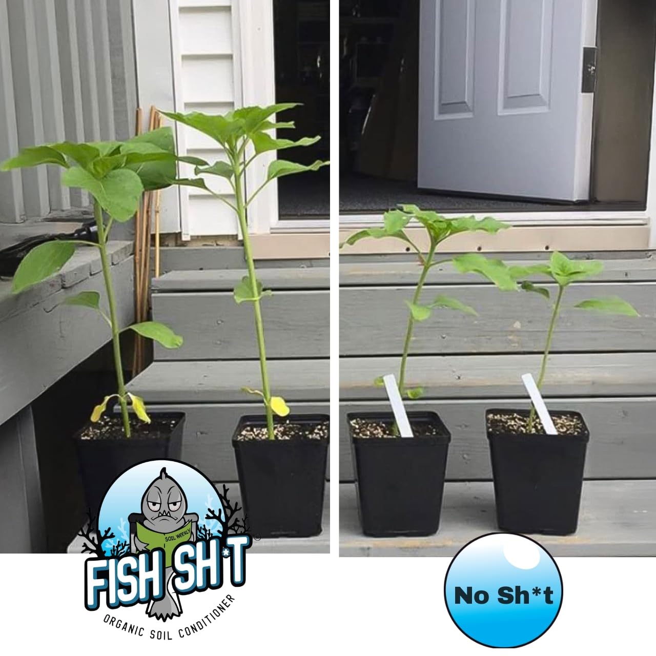 Fish Head Farms Organic Soil Conditioner - Organic Fertilizer for Increased Yield and Flavor - Plant Fertilizer, Nutrients for Soil, Soilless, Hydroponic Farming - Garden - 5L