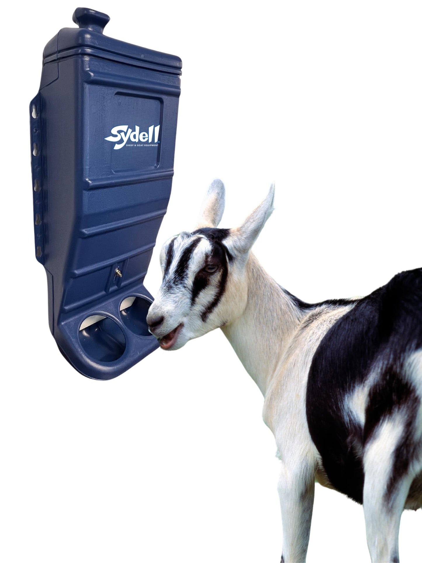 Sydell Sheep and Goat Grain Mineral Feeder, Large Outdoor Forage Grain Feeding System, Supports Up to 10 Small Livestock, Weather Resistant Heavy-Duty Plastic, Fence Mounted