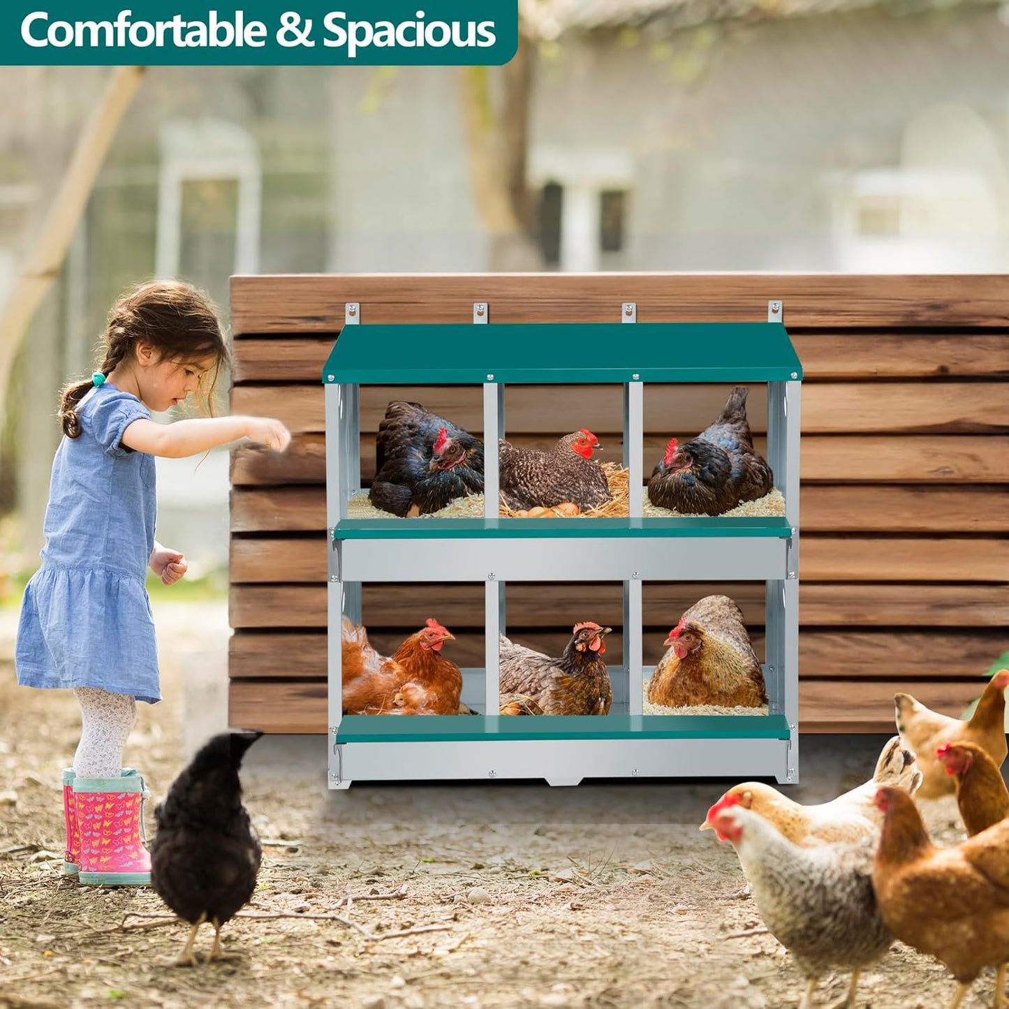 Toriexon Chicken Nesting Box, 6 Compartment Metal Nesting Box, 6 Room Wall Mountable Nesting Boxes for Chicken, Green