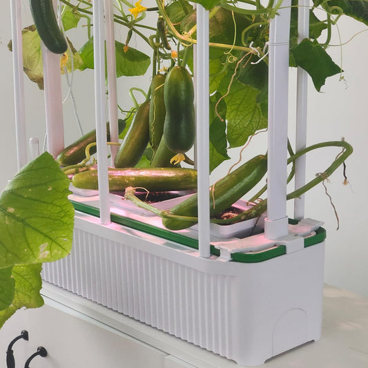 E SUPEREGROW Large Hydroponics Growing System kit with Trellis,Smart Indoor Hydroponic Gardening System with LED Grow Light, Indoor Hydroponic Grow Kit for Tomato,Pepper,Cucumbers(7L,Pump)