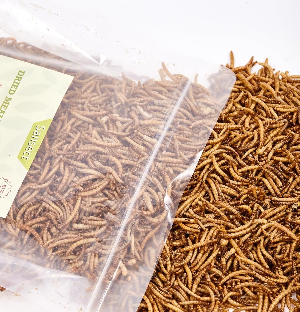 SANSECT 5LB Dried Mealworms, 100% Natural Non-GMO Dried Mealworms for Chickens, High Protein Chicken Feed Meal Worms for Chickens, Ducks, Turtles and Reptiles