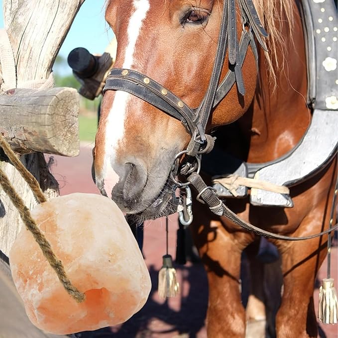 3 Pack Himalayan Salt, Lick Natural Mineral Block Rope Long-Lasting Raw Pink Salt Lick Suitable for Horses, Deer, Cattle, Goats and Other Livestock(10.55-12 LBS)