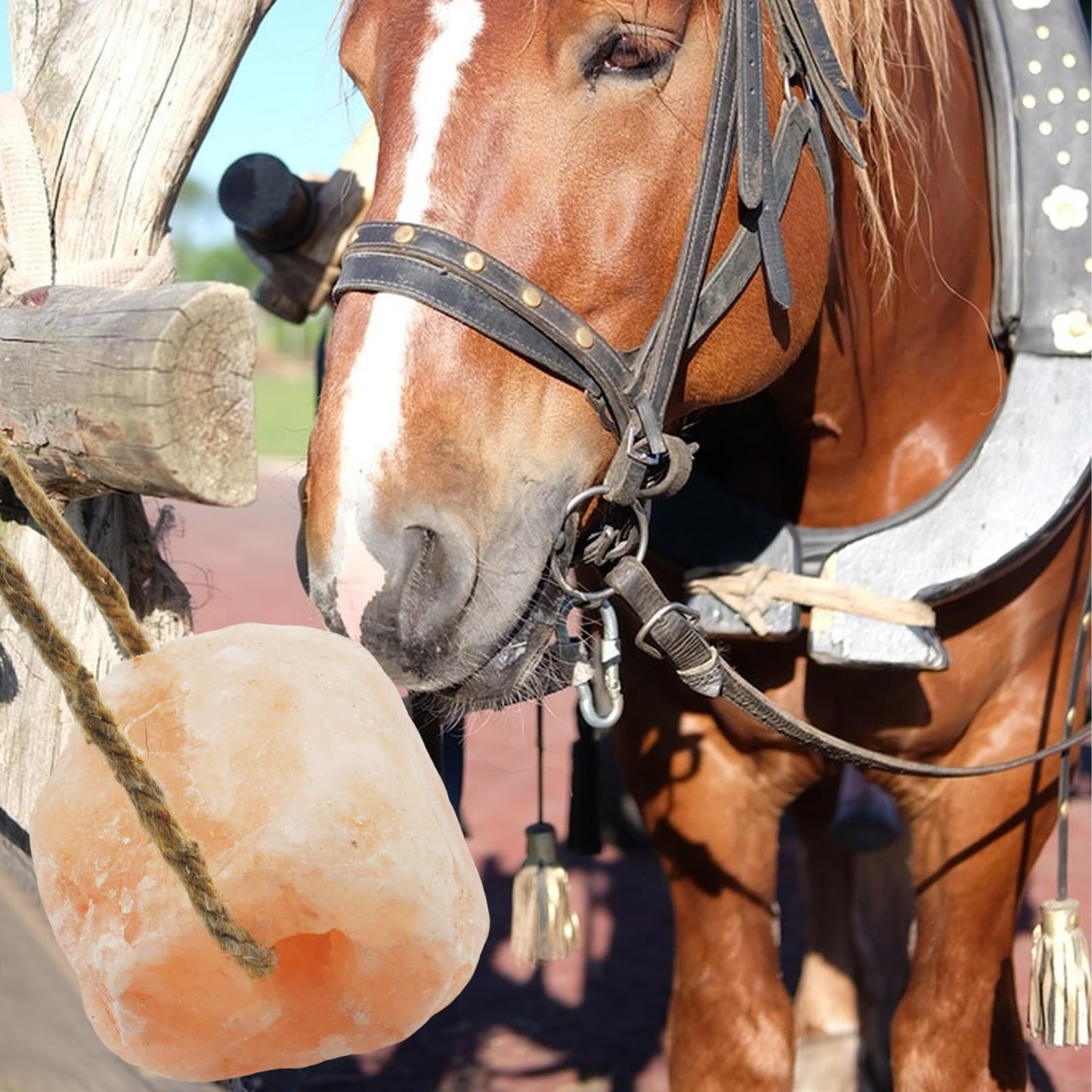 kathson Hanging Salt Lick for Horses Pack of 3,Himalayan Salt Blocks for Horse Natural Organic Mineral Salt Block Licking Salt Licks for Horses Cattle Deer Goats Cows and Other Livestock(10.55-12 LBS)