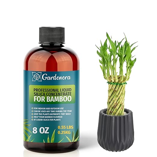 𝐏𝐑𝐄𝐌𝐈𝐔𝐌 Liquid Silica Plant Supplement - 8oz (250mL) - Bamboo Plants Liquid Silica Boost Fertilizer - Stronger Stems & Healthy Leaves for Indoor & Outdoor Bamboo Plants (Makes 45 Gallons)