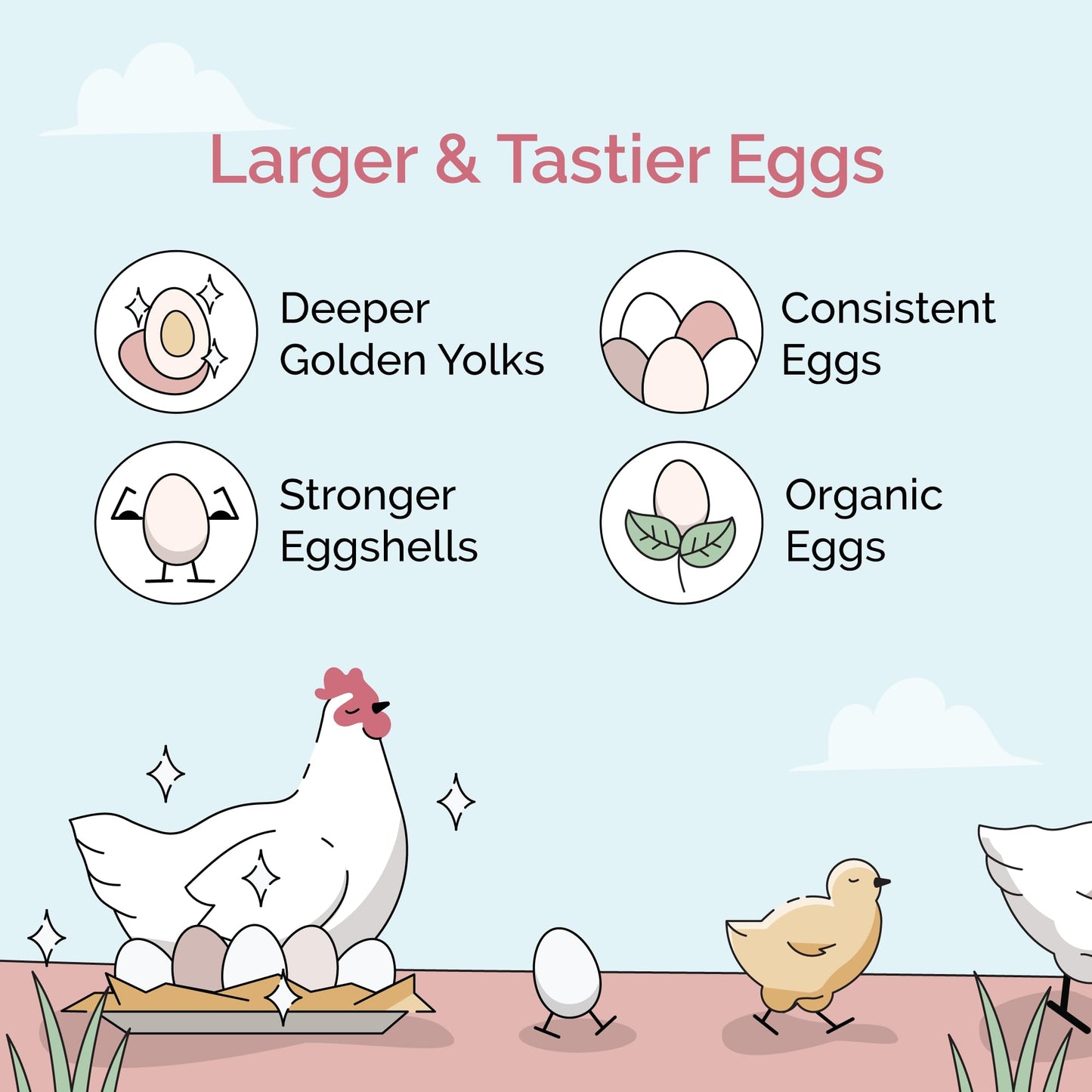Mile Four Organic Chicken Feed – Layer Mash, Non-GMO, USA Grown, 16% Protein, Corn-Free, Soy-Free, Non-Medicated Feed for Chickens, 2 lbs Sample